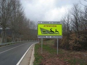 carteles fauna salvaje